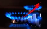 20% increase in domestic gas consumption