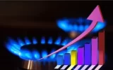 17% increase in domestic gas consumption