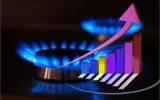 Gas consumption in the domestic sector increased by 20 percent