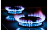 77% of total natural gas was consumed in the domestic sector