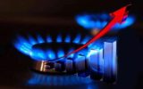 The share of the household sector in gas consumption reached 66 percent
