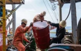 Oil exports under sanctions pressure: How do oil restrictions inflame the currency market?