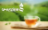 ۷۰ درصد چای ایران وارداتی است