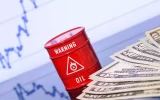 قیمت نفت افزایش یافت