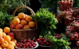 قیمت عمده فروشی میوه و سبزیجات ۶ خرداد ۱۴۰۴ +جدول قیمت عمده فروشی میوه و سبزیجات ۶ خرداد ۱۴۰۴ +جدول
