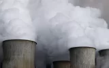 مازوت هنوز زنده است