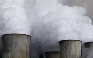 مازوت هنوز زنده است