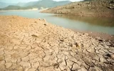 تهران در عطش تابستان؛ ذخایر سدها نصف شد تهران در عطش تابستان؛ ذخایر سدها نصف شد