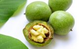 ممنوعیت خرید و فروش گردوی سبز در بروجرد ممنوعیت خرید و فروش گردوی سبز در بروجرد