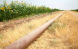 جریان نفت کردستان به ترکیه امروز دوباره برقرار شد