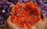 تحول در بازار زعفران و نقش حمایتی دولت