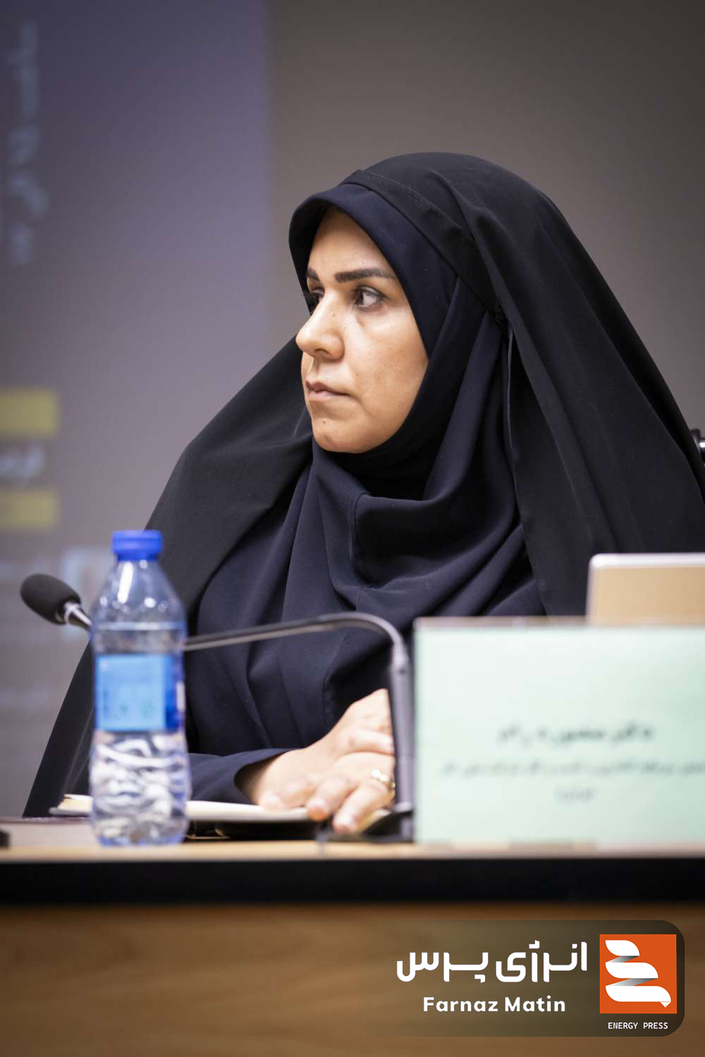 پیش‌نشست دوم همایش بین‌المللی سرمایه‌گذاری و تأمین مالی در صنعت نفت، گاز و پتروشیمی برگزار شد 