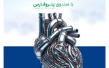 سرمایه‌گذاری در قلب پتروشیمی