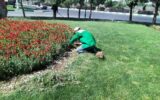 استخدام ۱۰ هزار کارگر ایرانی توسط شهرداری