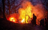 سابقه آتش‌سوزی جنگل‌ها در ایران؛ یک مرور واقع‌گرایانه