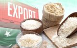 کاهش ۳۹ درصدی صادرات برنج پاکستان کاهش ۳۹ درصدی صادرات برنج پاکستان