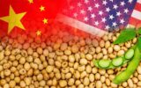 واردات سویای آمریکا همچنان با تعرفه ۱۳ درصدی