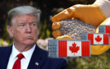 تعرفه‌های جدید ترامپ روی کود کانادایی و برنج هندی